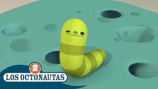 Los Octonautas Oficial en Español  Gusano Escurridizo Bajo Del Mar  Episodios completos [upl. by Gut91]