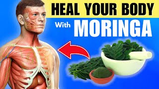 20 Amazing Benefits Of Moringa You Need To Know [upl. by Vanhomrigh643]