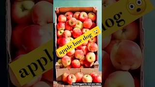 Apple chalte bhi hain  funny fun jokes youtubeshorts gauravaroravlogs pragyasingh12 [upl. by Adnolahs]