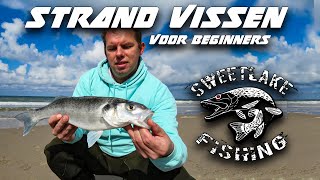 Strand vissen voor beginners  Zeebaars [upl. by Ahtnamas555]