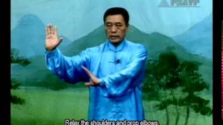 Liang Style BaGua Basic Exercises [upl. by Ruyle]