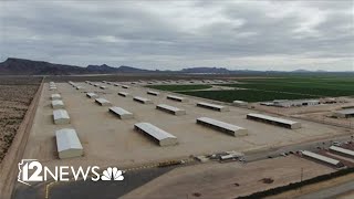 Arizona AG Mayes targets Saudi farms as nuisances over water use [upl. by Parhe623]