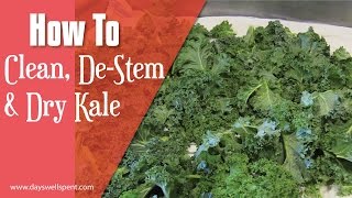 How To Clean DeStem and Dry Kale [upl. by Mahau]