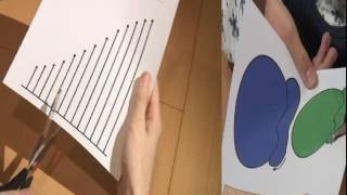 Using lefthanded scissors to cut cleanly and accurately [upl. by Ahsiekin]