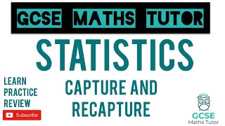 Capture and Recapture  Grade 6 Series  GCSE Maths Tutor [upl. by Moraj359]