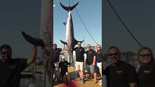 393Pound Swordfish Breaks Maryland Record [upl. by Kelby]