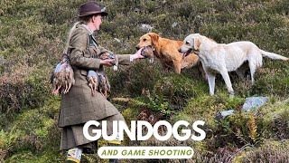 Driven shooting in the UK partridge pheasant and duck with Gundogs [upl. by Hakeber9]