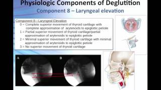 Overview of the 17 Physiologic Components of Swallow Function [upl. by Capp]