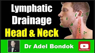 Lymphatic Drainage of the Head and Neck Dr Adel Bondok [upl. by Stepha]