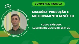 Macaúba Produção e melhoramento genético [upl. by Bailar]