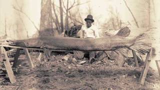 Alligator Gar released in Kentucky [upl. by Eyahsal10]