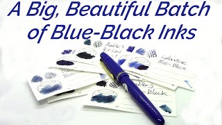 Some BlueBlack Inks  Ink Review [upl. by Dnomrej]