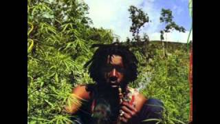 Peter Tosh  Till your well runs dry [upl. by Anilorak]