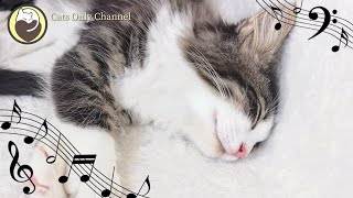 Music for Cats  Relaxing Sleep Music amp Stress Relief  Relaxing Piano Music with Water Sounds [upl. by Drolet]