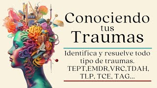 Entendiendo y SANANDO tus traumas  Audiolibro completo [upl. by Onateyac]