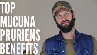 The Top Benefits of Mucuna Pruriens [upl. by Lunn]