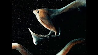 Gulper Eel  Deepsea Oddities [upl. by Tessil]