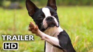 STRAYS Trailer 2023 Isla Fisher Will Ferrell Jamie Foxx Comedy Movie [upl. by Henebry]