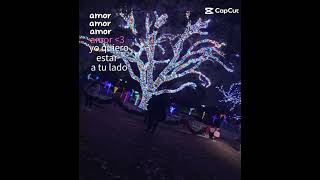 Amor lyrics [upl. by Rosa]