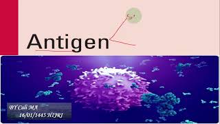 Antigen Immunology afsoomaali [upl. by Fillander]