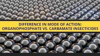 difference in mode of action of organo phosphate and carbamate insecticides [upl. by Aerdnahc994]