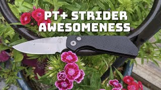 ProTech PT Strider Knife Review [upl. by Yrocej]