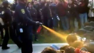 Police pepper spray policies under review [upl. by Ahsitauq805]