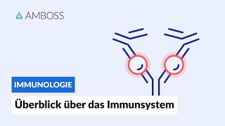 Überblick über das unspezifische und spezifische Immunsystem  Immunologie  AMBOSS Video [upl. by Winnie]