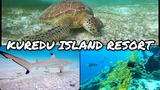 KUREDU RESORT  MALDIVES  GOPRO  SNORKELING [upl. by Arbmahs152]