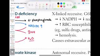 G6PD haematology 49 First Aid USMLE Step 1 in UrduHindi [upl. by Aelram]