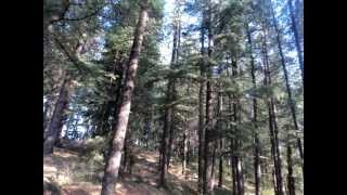 Himachali Pahari songDeo ree dharocharnu [upl. by Serrell500]