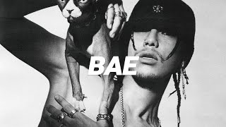 SikK  BAE Official Audio [upl. by Llewxam662]