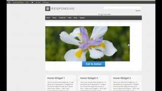 Responsive WordPress Theme Home Page Slider Google Search and Colophon Widget [upl. by Alisen]