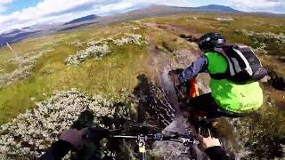 Flow i Jämtland  mtb i jämtlandsfjällen [upl. by Namzzaj]