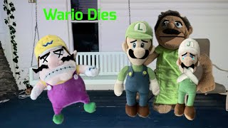 Wario Dies [upl. by Elwaine388]