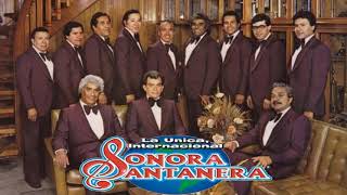 SONORA SANTANERA Exitos Mix Bailables Sabrosas [upl. by Nale]