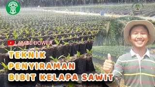 Teknik Penyiraman Bibit kelapa Sawit [upl. by Akimehs284]