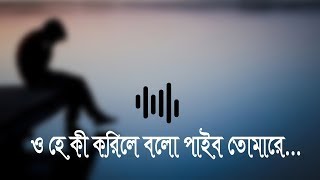 Ohe Ki Korile Bolo Paibo Tomare  Outstanding Female version Ak Bijoy MuSic 20 [upl. by Avehstab726]