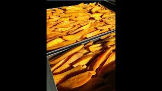 How To Dehydrate Fruits and Vegetables by industrial way [upl. by Baskett992]