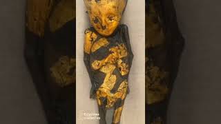 The mummy of the golden child and the secrets of mummification [upl. by Peale]