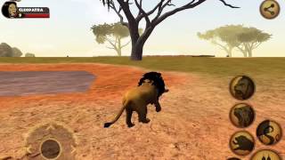 Ultimate Lion Simulator [upl. by Onailimixam]