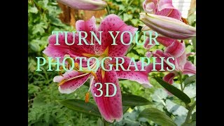 Turn a photograph into a stunning 3D image with Paper Tole [upl. by Arakahs]