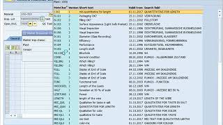 inspections lot in results recording sap qm [upl. by Fidelas]