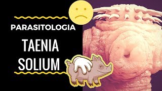 Taenia solium ❤ ¿Tienes una SOLITARIA 12 [upl. by Esbensen230]