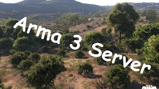 How to set up an Arma 3 server using Hamachi [upl. by Tak]