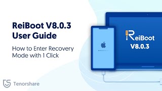 ReiBoot V803 User Guide How to Enter Recovery Mode with 1 Click [upl. by Yrgoerg]