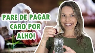 Como plantar alho em vaso  Horta em apartamento [upl. by Annej]