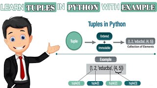 Master Tuples in Python Comprehensive Guide for Beginners [upl. by Elena]