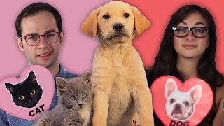 Dog Facts Vs Cat Facts [upl. by Annia503]