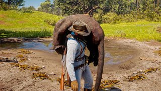 HUNTING THE RARE LEGENDARY PANTHER in Red Dead Redemption 2 [upl. by Anallij668]